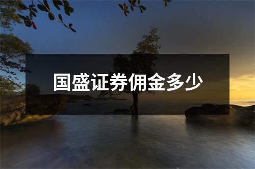 国盛证券佣金多少