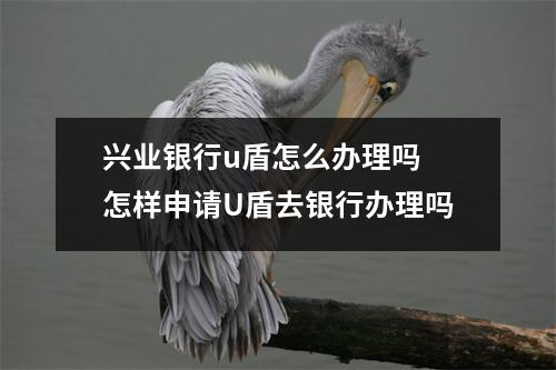 兴业银行u盾怎么办理吗 怎样申请U盾去银行办理吗