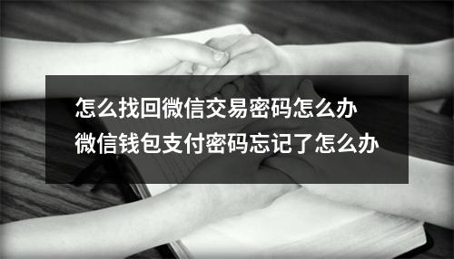 怎么找回微信交易密码怎么办 微信钱包支付密码忘记了怎么办