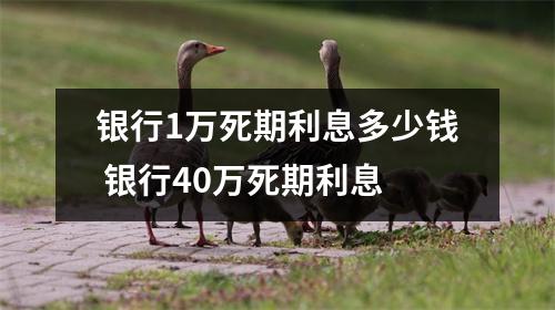 银行1万死期利息多少钱 银行40万死期利息