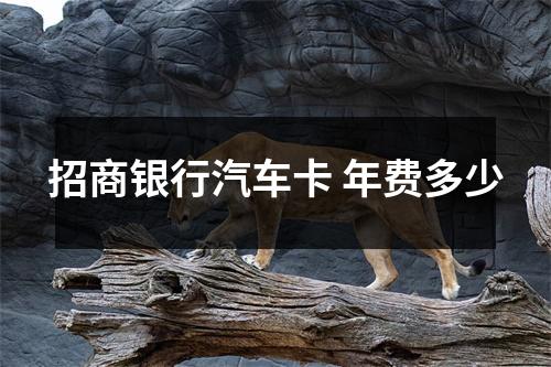 招商银行汽车卡 年费多少