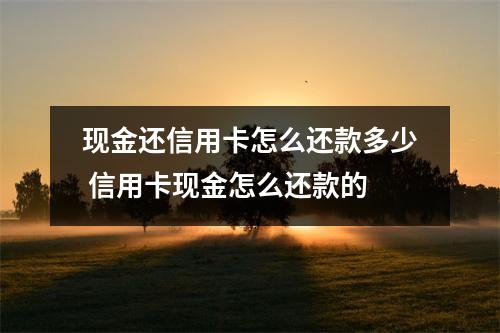 现金还信用卡怎么还款多少 信用卡现金怎么还款的