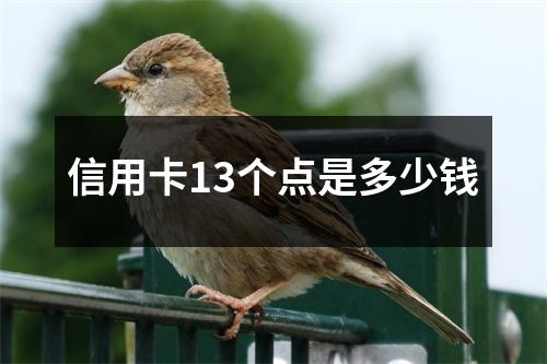 信用卡13个点是多少钱