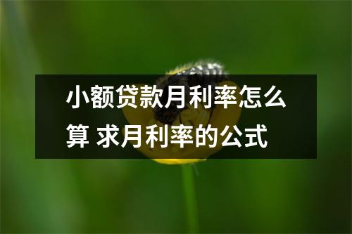 小额贷款月利率怎么算 求月利率的公式