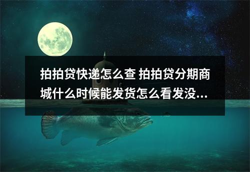 拍拍贷快递怎么查 拍拍贷分期商城什么时候能发货怎么看发没发货 分期退款还有还利