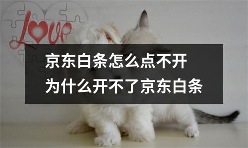 京东白条怎么点不开 为什么开不了京东白条