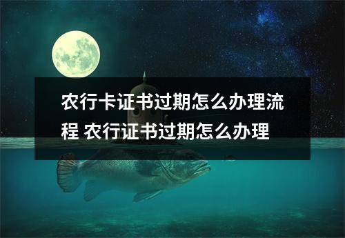 农行卡证书过期怎么办理流程 农行证书过期怎么办理