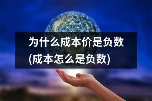 为什么成本价是负数(成本怎么是负数)
