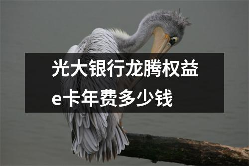 光大银行龙腾权益e卡年费多少钱