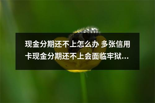 现金分期还不上怎么办 多张信用卡现金分期还不上会面临牢狱之灾吗