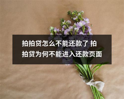 拍拍贷怎么不能还款了 拍拍贷为何不能进入还款页面