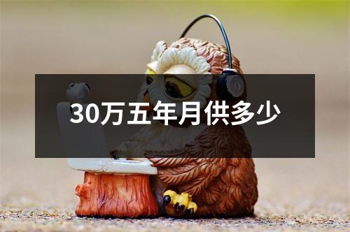 30万五年月供多少