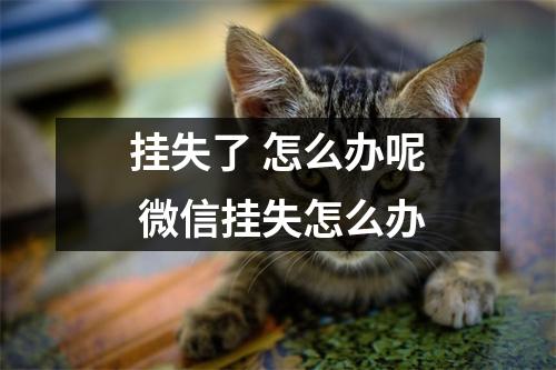 挂失了 怎么办呢 微信挂失怎么办