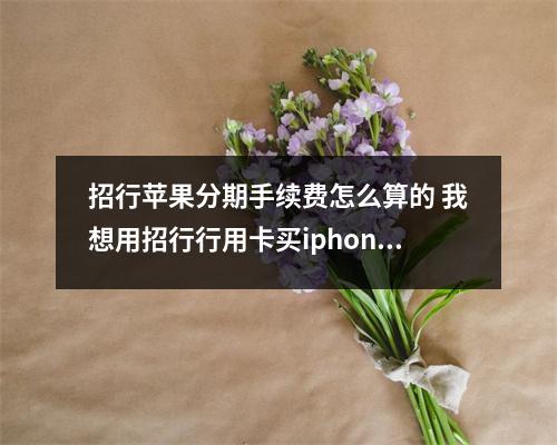 招行苹果分期手续费怎么算的 我想用招行行用卡买iphone4S分期付款请问得付多少的手续费