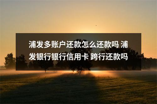 浦发多账户还款怎么还款吗 浦发银行银行信用卡 跨行还款吗