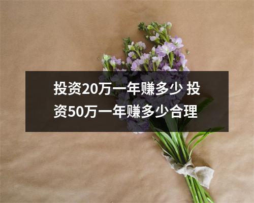 投资20万一年赚多少 投资50万一年赚多少合理