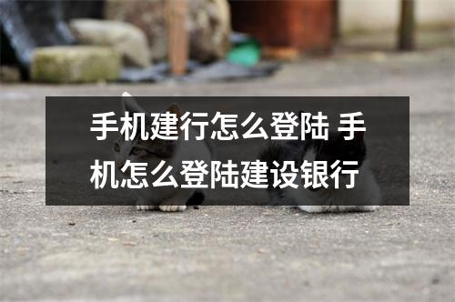 手机建行怎么登陆 手机怎么登陆建设银行