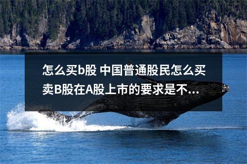怎么买b股 中国普通股民怎么买卖B股在A股上市的要求是不是很高