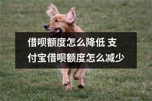 借呗额度怎么降低 支付宝借呗额度怎么减少
