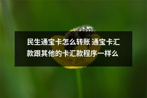 民生通宝卡怎么转账 通宝卡汇款跟其他的卡汇款程序一样么