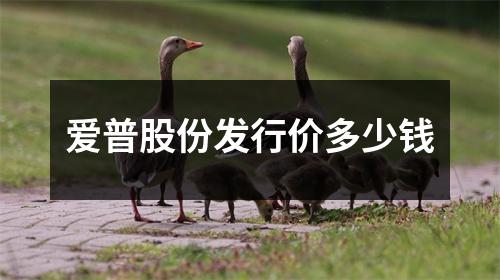 爱普股份发行价多少钱