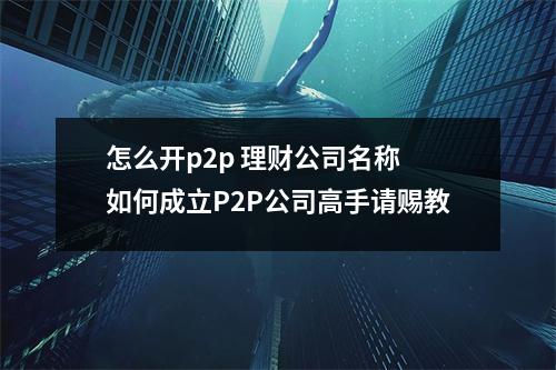 怎么开p2p 理财公司名称 如何成立P2P公司高手请赐教