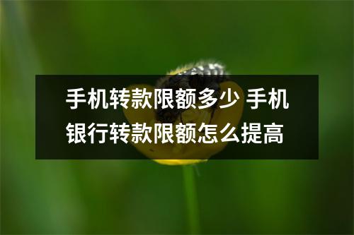 手机转款限额多少 手机银行转款限额怎么提高