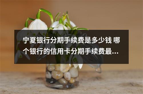 宁夏银行分期手续费是多少钱 哪个银行的信用卡分期手续费最低