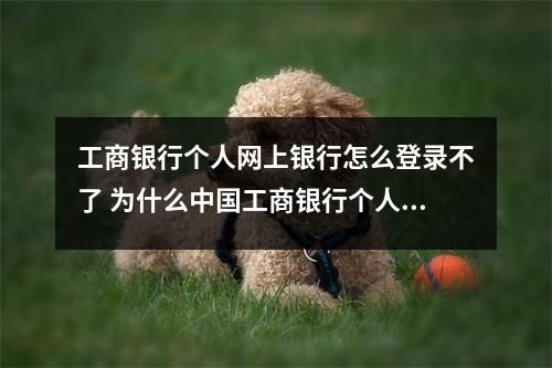 工商银行个人网上银行怎么登录不了 为什么中国工商银行个人网上银行登陆不了