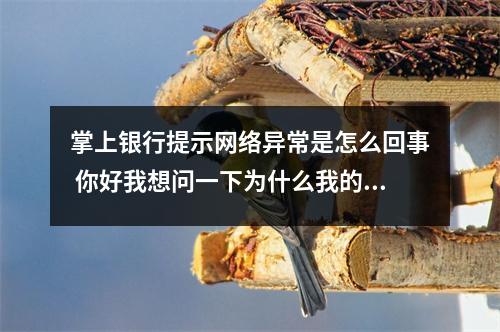 掌上银行提示网络异常是怎么回事 你好我想问一下为什么我的掌上银行进不去营业厅显示网络异常或