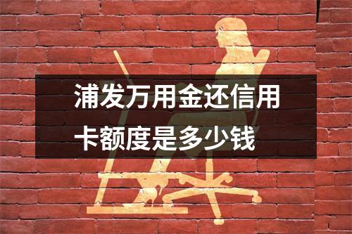 浦发万用金还信用卡额度是多少钱