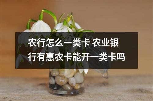 农行怎么一类卡 农业银行有惠农卡能开一类卡吗