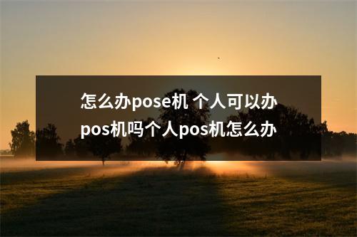 怎么办pose机 个人可以办pos机吗个人pos机怎么办