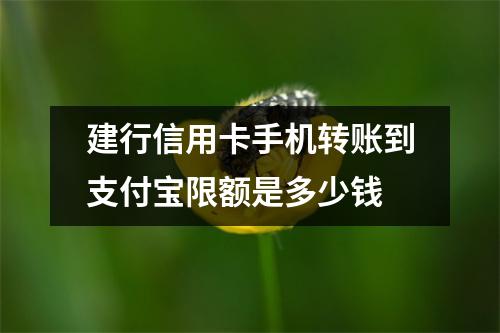 建行信用卡手机转账到支付宝限额是多少钱