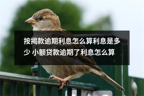 按揭款逾期利息怎么算利息是多少 小额贷款逾期了利息怎么算