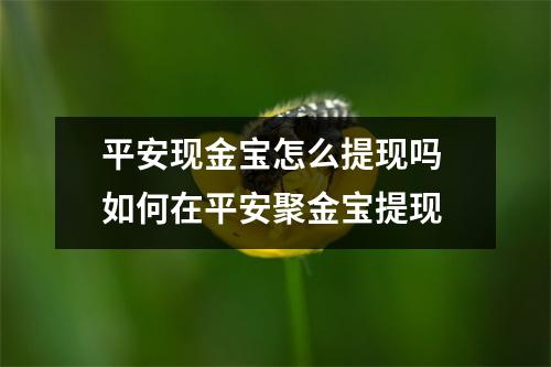 平安现金宝怎么提现吗 如何在平安聚金宝提现