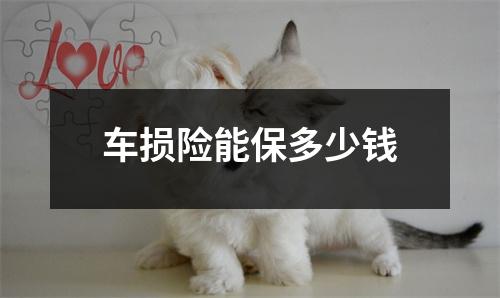 车损险能保多少钱
