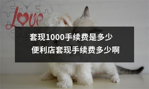 套现1000手续费是多少 便利店套现手续费多少啊