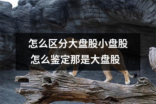 怎么区分大盘股小盘股 怎么鉴定那是大盘股