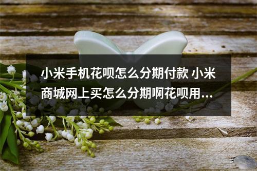 小米手机花呗怎么分期付款 小米商城网上买怎么分期啊花呗用不了