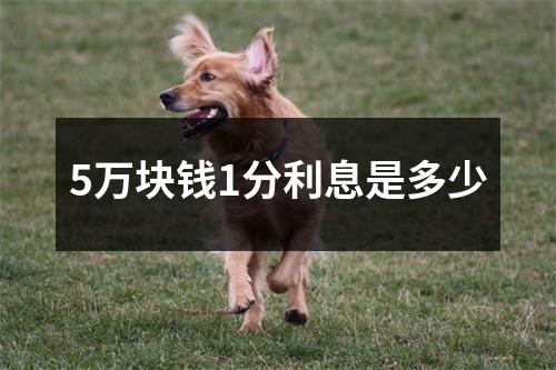 5万块钱1分利息是多少