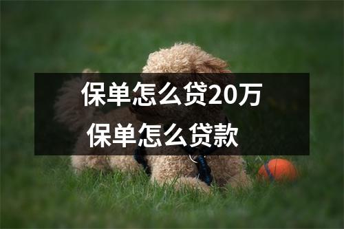 保单怎么贷20万 保单怎么贷款