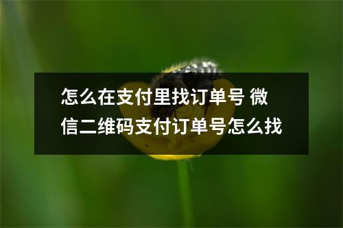 怎么在支付里找订单号 微信二维码支付订单号怎么找