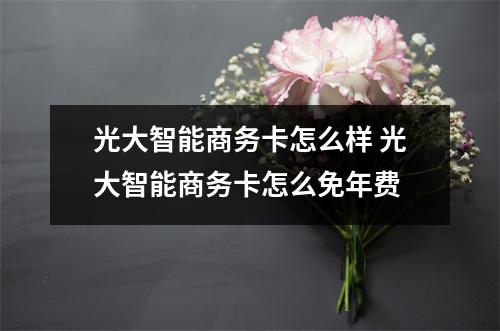 光大智能商务卡怎么样 光大智能商务卡怎么免年费