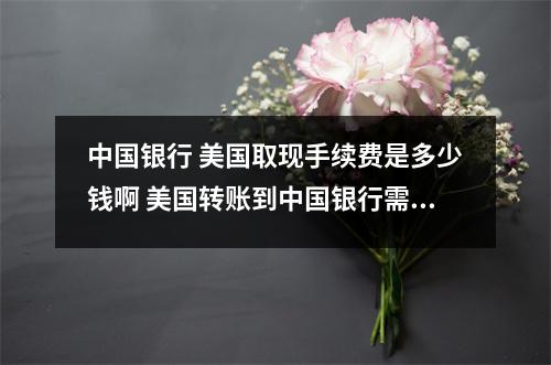 中国银行 美国取现手续费是多少钱啊 美国转账到中国银行需要手续费吗