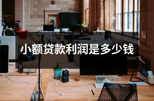 小额贷款利润是多少钱
