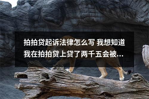 拍拍贷起诉法律怎么写 我想知道我在拍拍贷上贷了两千五会被起诉麽如今换不上了起诉