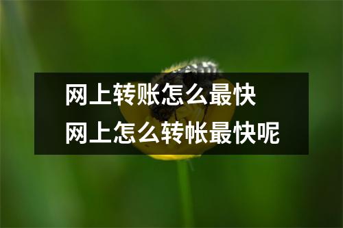 网上转账怎么最快 网上怎么转帐最快呢
