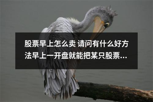 股票早上怎么卖 请问有什么好方法早上一开盘就能把某只股票迅速卖出在几点就开