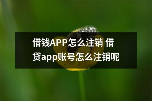 借钱APP怎么注销 借贷app账号怎么注销呢